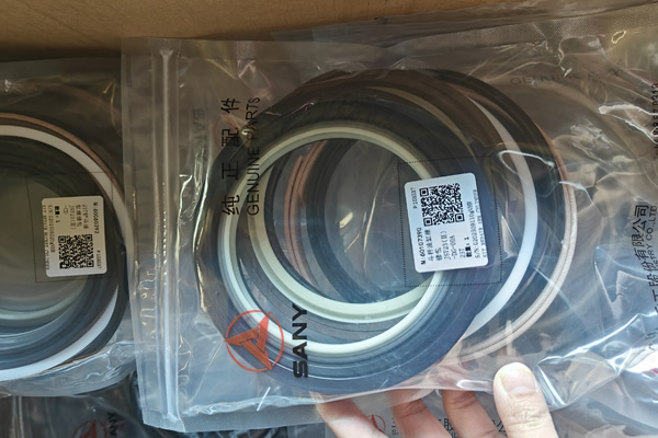 Sealing Assembly SY230C8.2.6