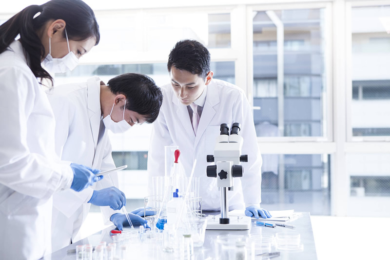 Company Introduction