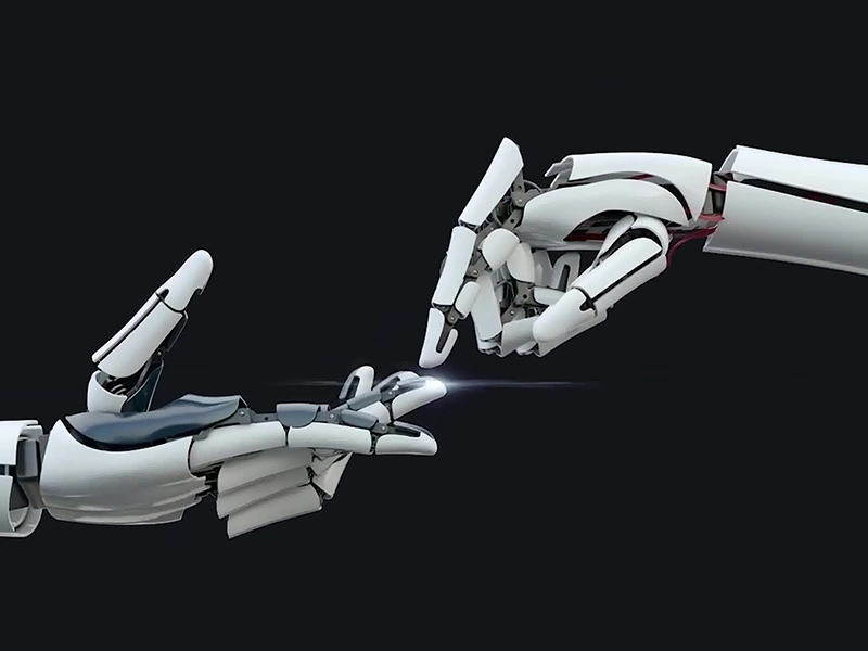 Distributor And Agent